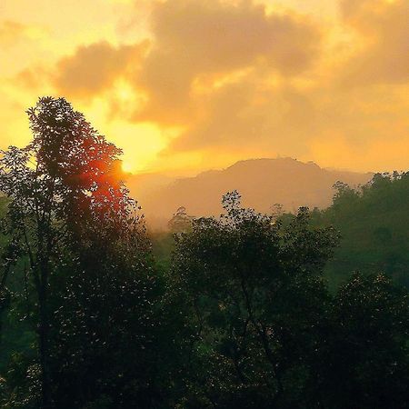 Green Jungle " Cool View" Apartment เอลลา ภายนอก รูปภาพ