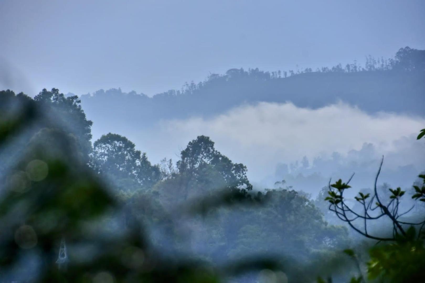 Green Jungle " Cool View" Apartment เอลลา ภายนอก รูปภาพ