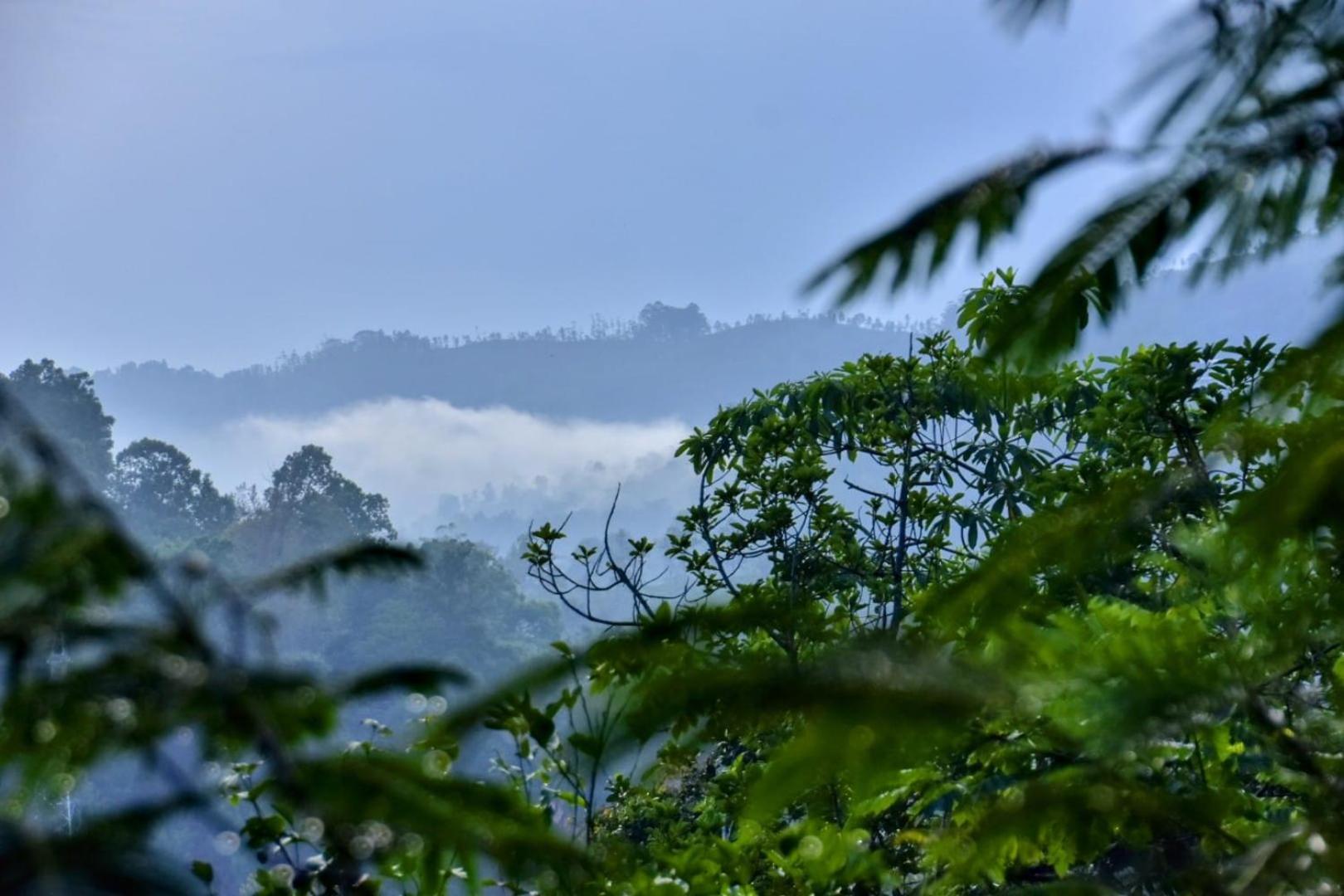 Green Jungle " Cool View" Apartment เอลลา ภายนอก รูปภาพ