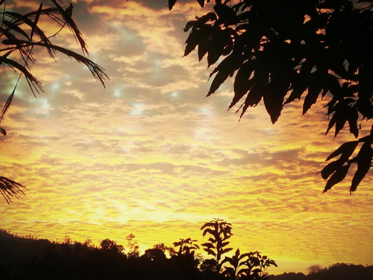 Green Jungle " Cool View" Apartment เอลลา ภายนอก รูปภาพ